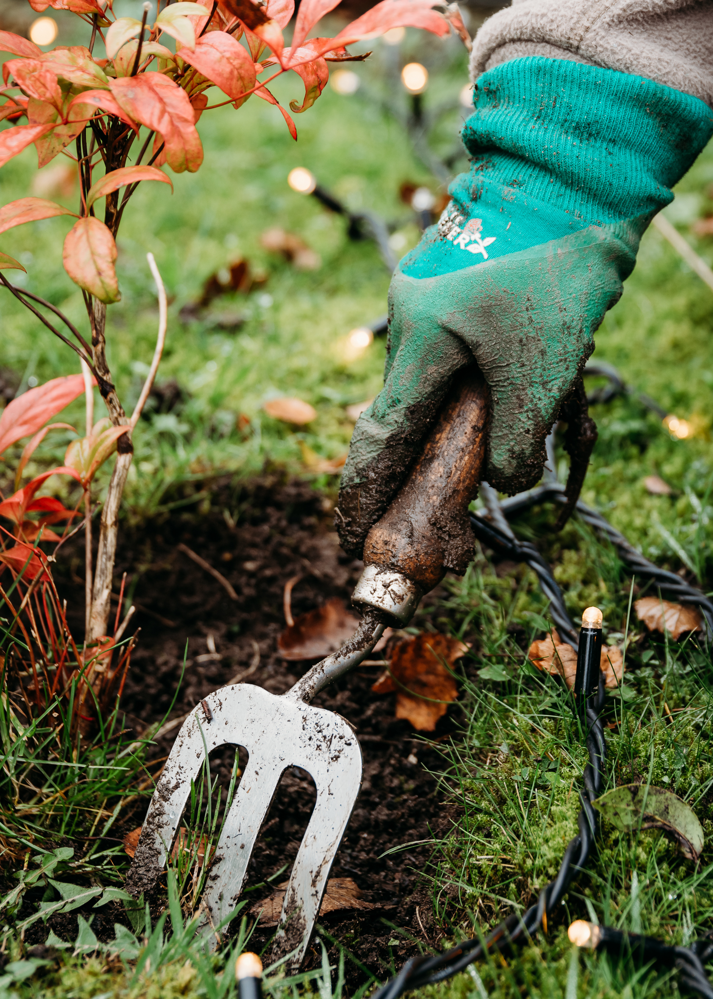Red Hall Hotel gardener with close up of fork in the grass