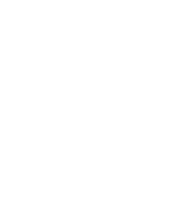 travellers choice 2021 tripadviser logo
